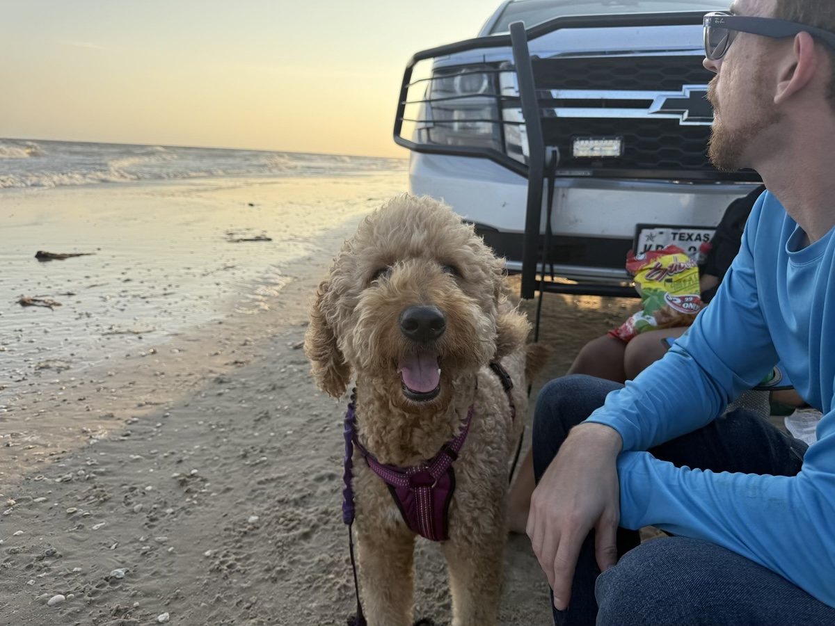 Autumn in a purple harness on a Texas beach at sunset, tongue out and smiling, sitting beside Jordan Polasek on the sand